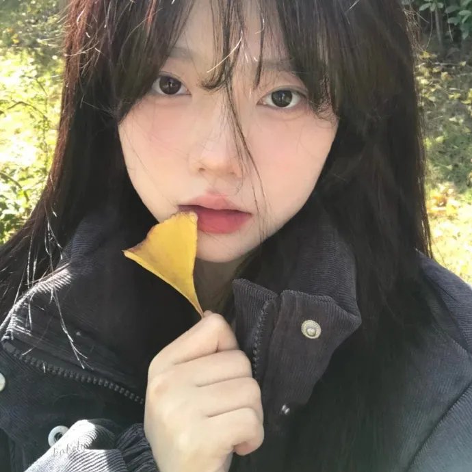 东邻西舍第六季